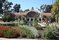 IMG_0040g