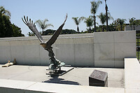 IMG_0081