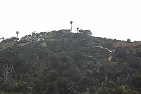 IMG_0124