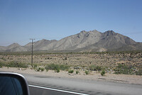 IMG_0318