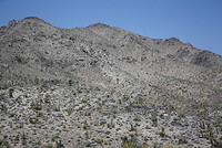 IMG_0208