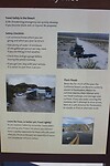 IMG_0226