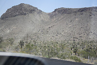 IMG_0233