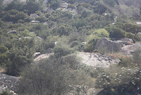 IMG_0348