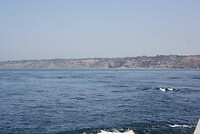 IMG_0460