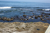 IMG_0452