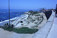 IMG_0447k