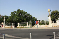IMG_0011