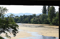 IMG_0065