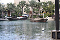 IMG_0521