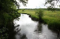 IMG_0903
