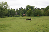 IMG_0905