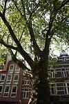 IMG_0896