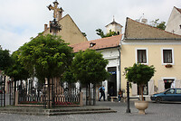 IMG_1558