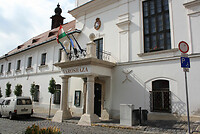 IMG_1566