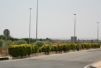 IMG_1975
