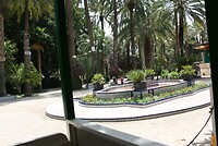 IMG_1991