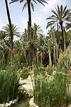IMG_2001