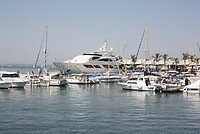 IMG_2015