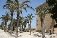 IMG_2054