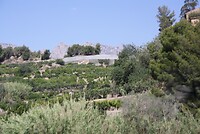 IMG_2091