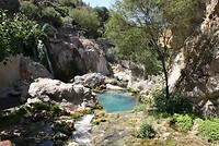 IMG_2093