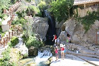 IMG_2094