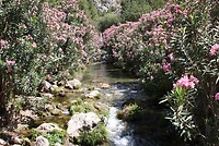 IMG_2099
