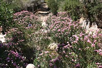 IMG_2101