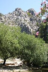 IMG_2103