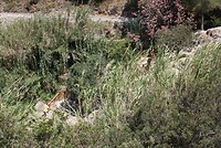IMG_2109