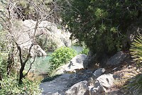IMG_2110