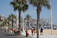 IMG_2114