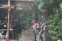 IMG_2128