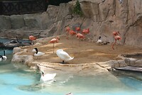 IMG_2131