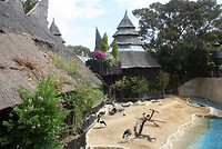 IMG_2134