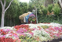 IMG_2145