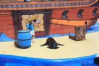 IMG_2155