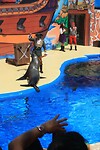 IMG_2158