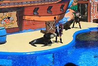 IMG_2167