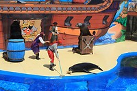 IMG_2168