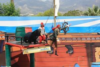 IMG_2184