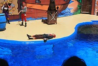 IMG_2185