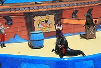 IMG_2186