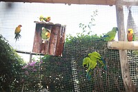 IMG_2190