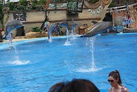 IMG_2206