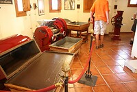 IMG_2265