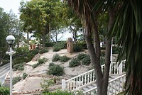 IMG_2276