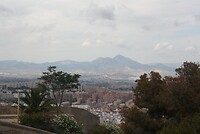 IMG_2294