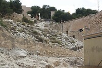 IMG_2312